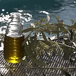 Olive غراداك