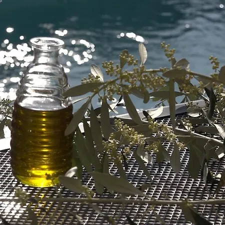 Olive غراداك