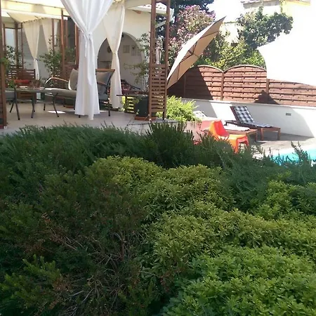 Olive بيت للعطل